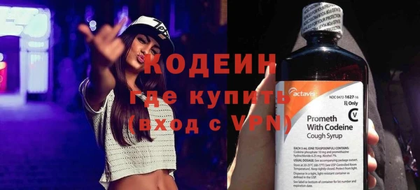 прущие грибы Абаза