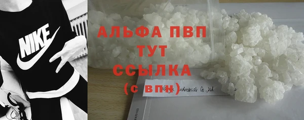 apvp Алзамай