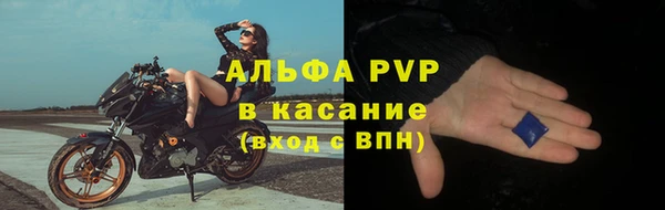 apvp Алзамай