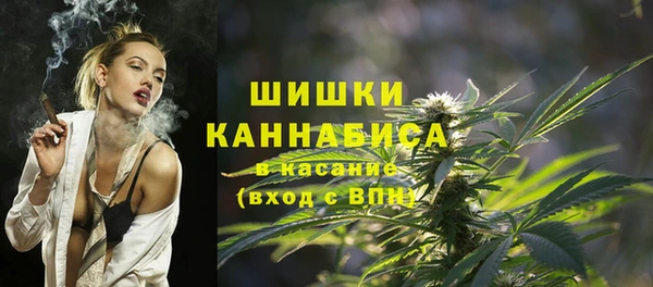 apvp Алзамай